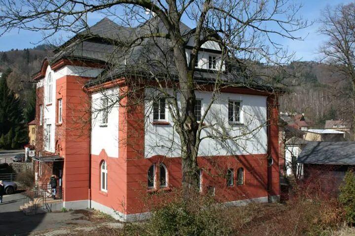 Hotel Britz Velké Hamry Extérieur photo