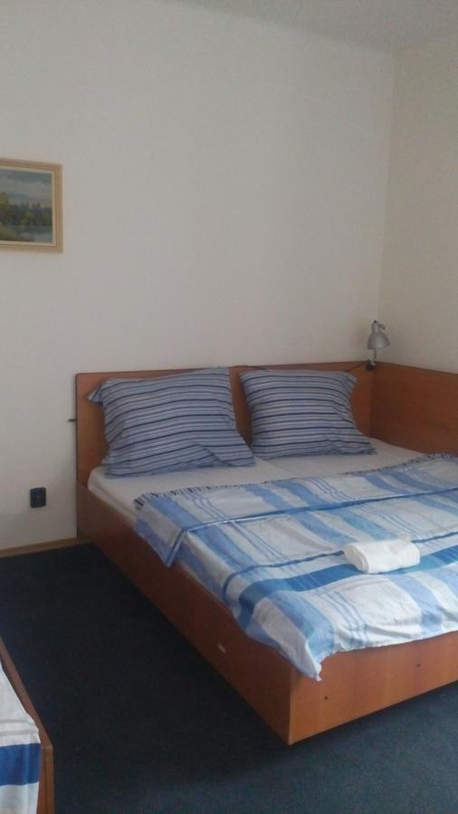 Hotel Britz Velké Hamry Extérieur photo